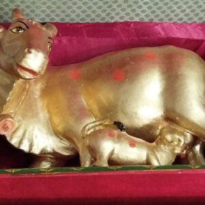 Kamdhenu cow